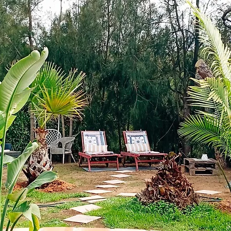 Boheme Valdareina, Piscine Chauffee, Benagil-carvoeiro *