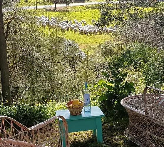 Boheme Valdareina, Piscine Chauffee, Benagil-carvoeiro *