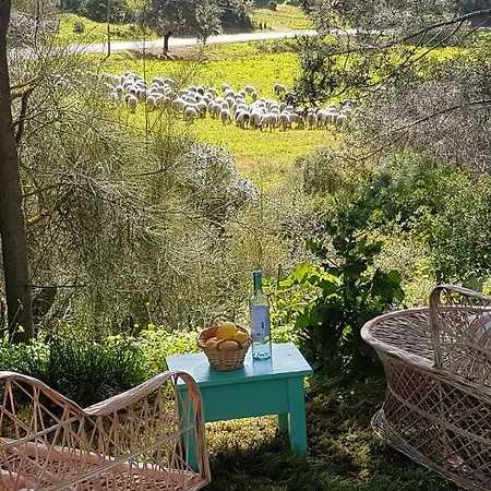 Boheme Valdareina, Piscine Chauffee, Benagil-carvoeiro *