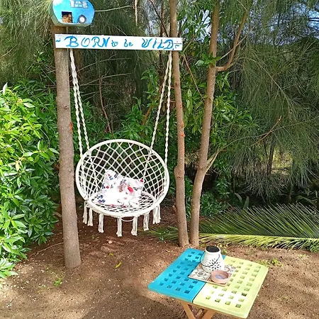 Boheme Valdareina, Piscine Chauffee, Benagil-carvoeiro Carvoeiro (Lagoa)